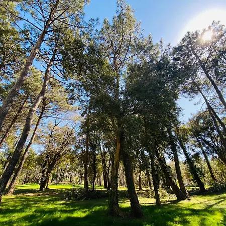 T2 Golf De Pinsolle -